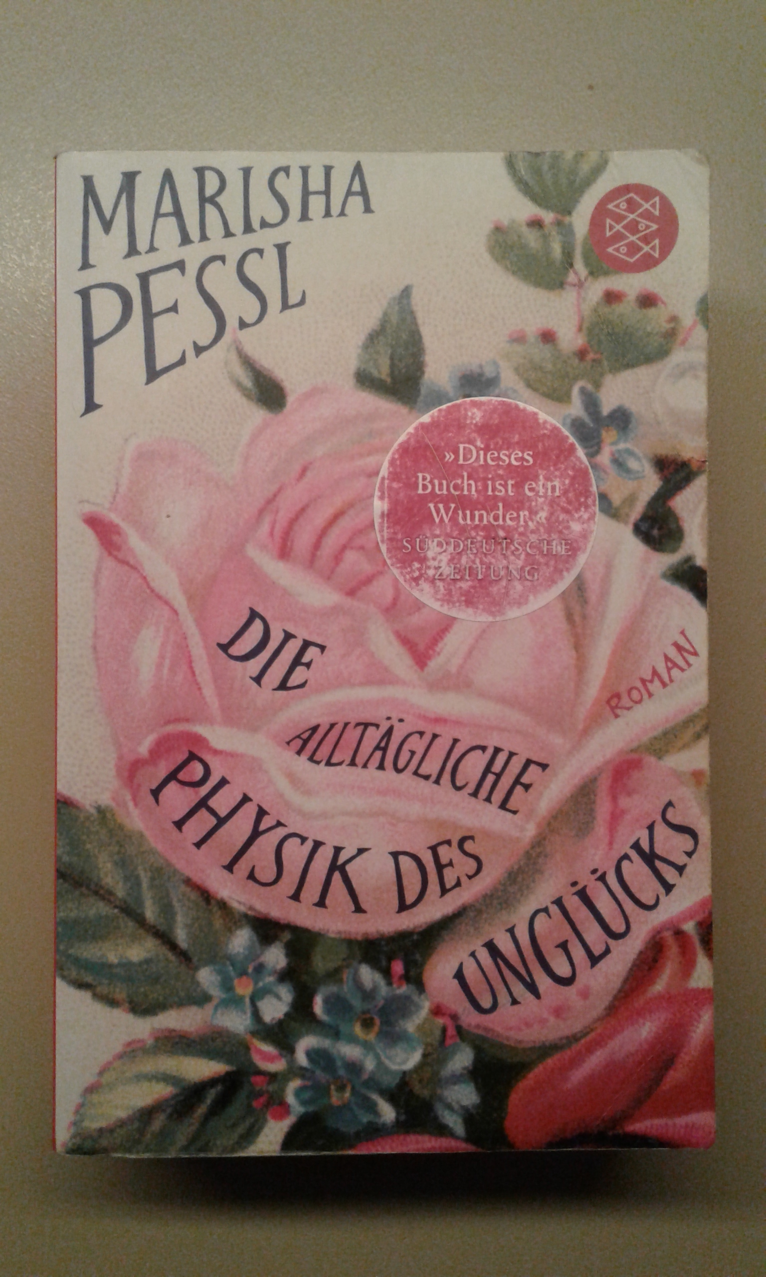 Pessl, Die alltägliche Physik des Unglücks.