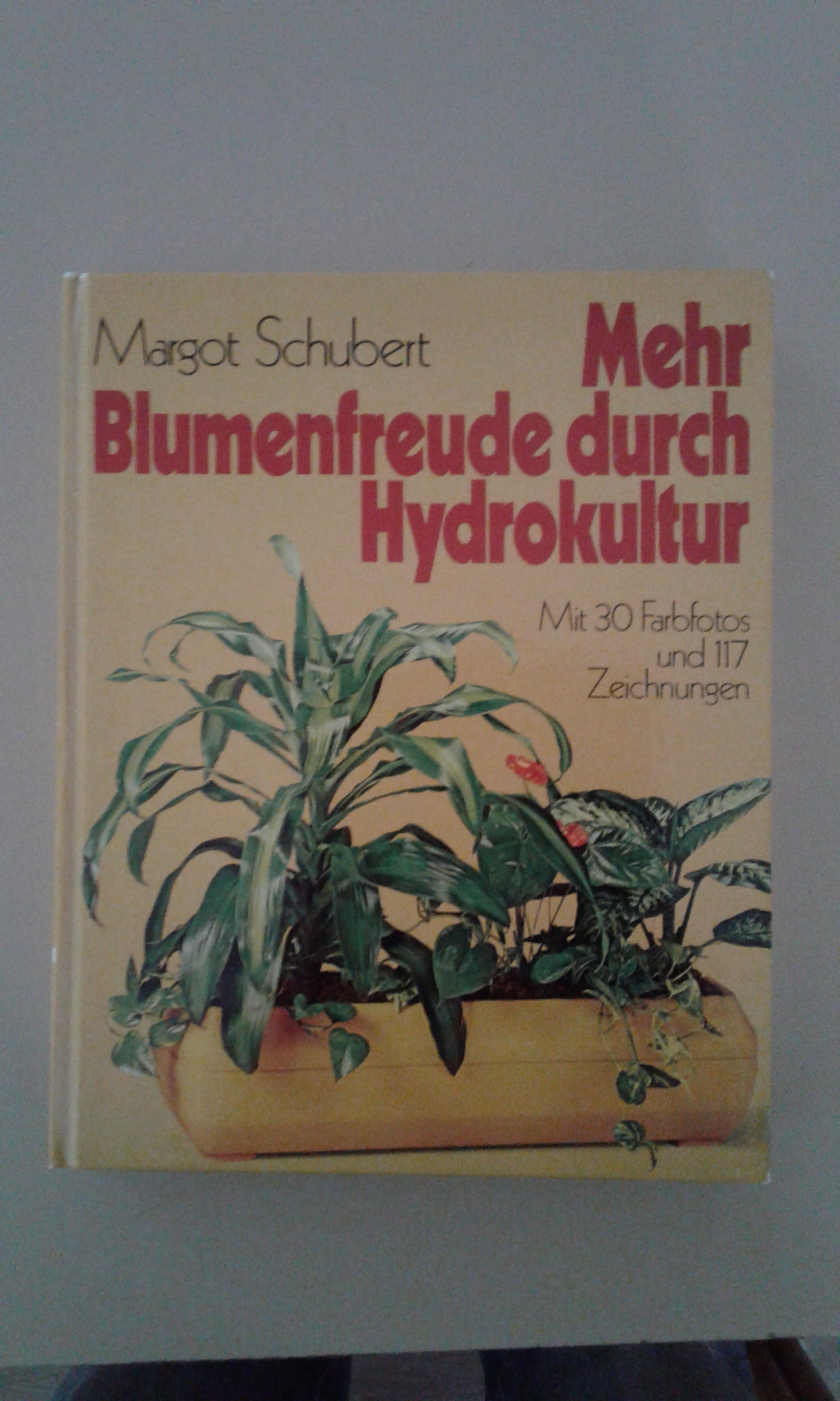 Schubert, Mehr Blumenfreude durch Hydrokultur