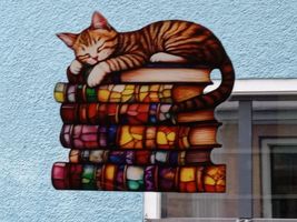 Bücher Baues - Fotos / Impressionen Laden